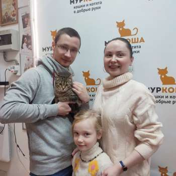 Брунио