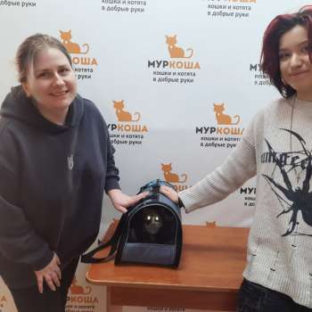 Бухта