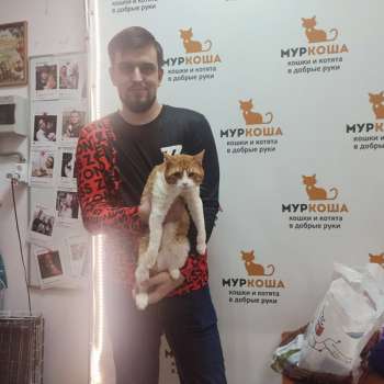 Цум 