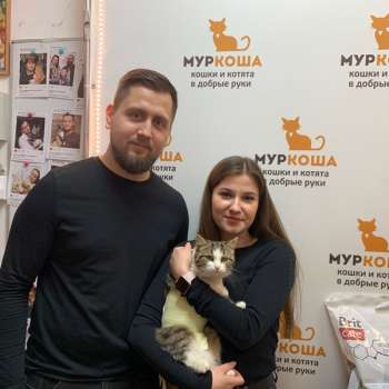 Дисканта