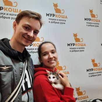 Дольче