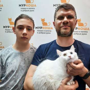 Джелата