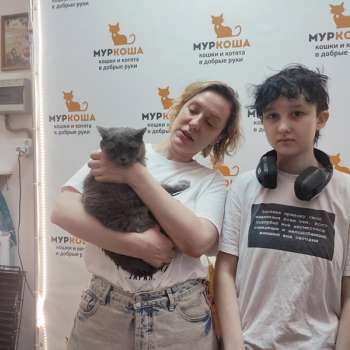 Джемис 