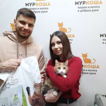 Эленика