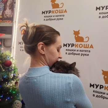 Эштон