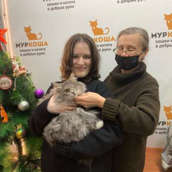 Фомальгаут