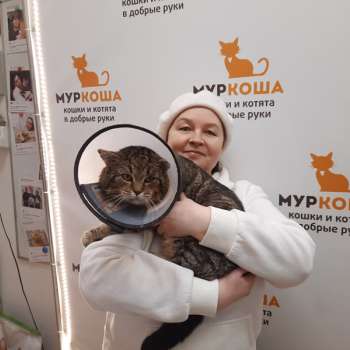 Француз