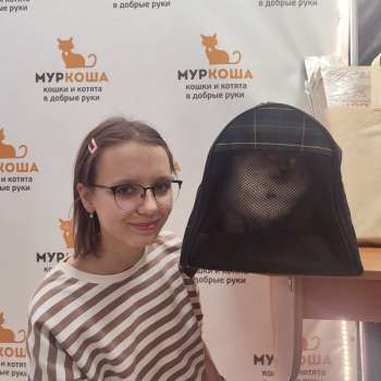 Фраппе