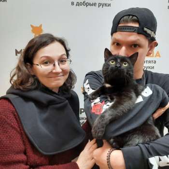 Графит