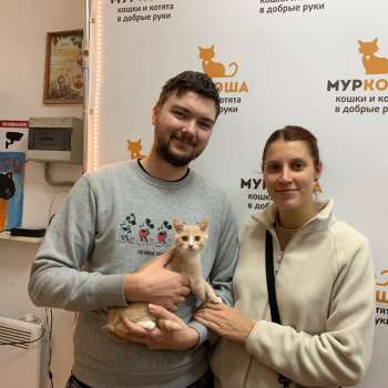 Гудёнок