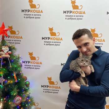 Калина
