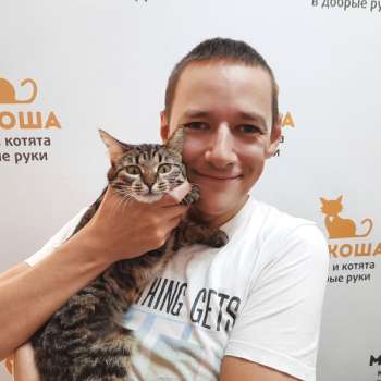 Хейли