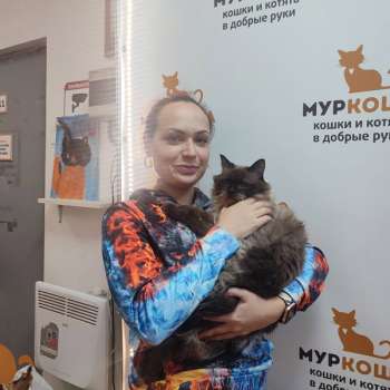 Ховарт
