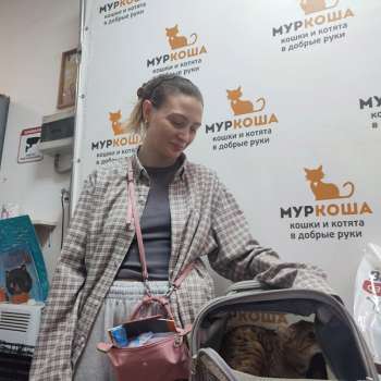 Хёрши
