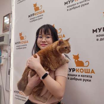 Кисулькина 