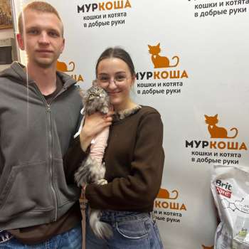 Клубничка