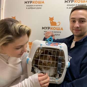 Колобочек 