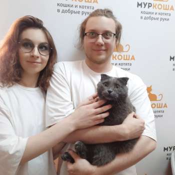 Комфортик