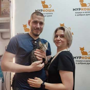 Кушачок