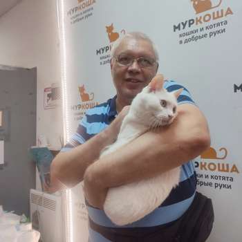 Лансель 