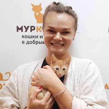 Лучок