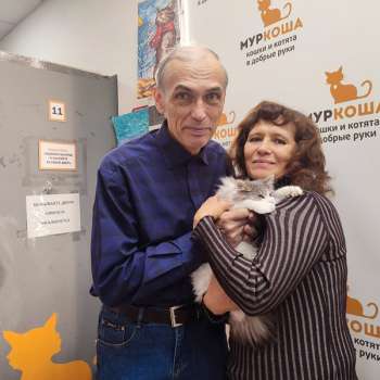 Мацони