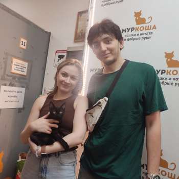 Мироша