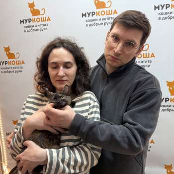 Мияби