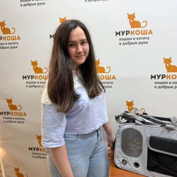 Монблан