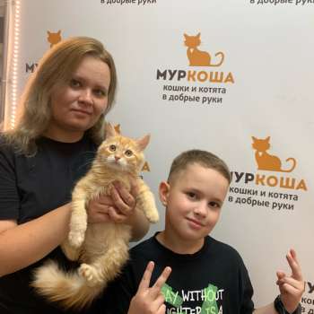 Мультяша