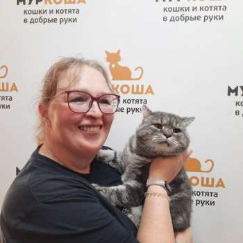 Мурсий