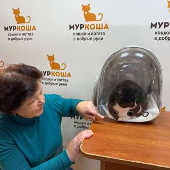 Найтюша 