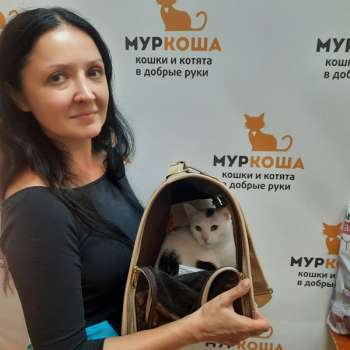 Опушка