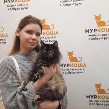 Панорамка 