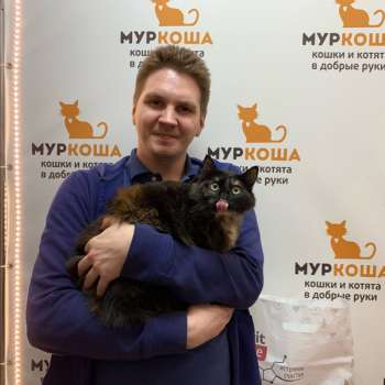 Павлина 