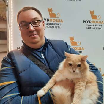 Персивальд