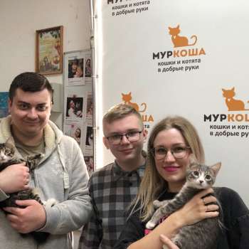 Пиерис