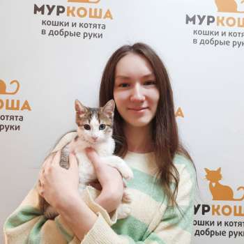 Подорожник