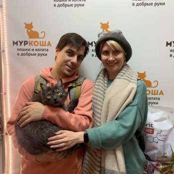 Ривирдейл
