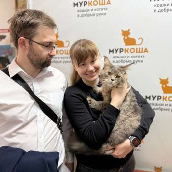 Русич