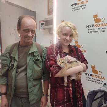 Рысюня