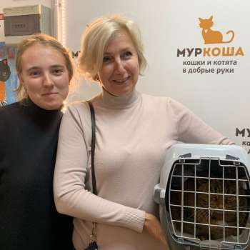 Сарафина 