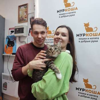 Сарго