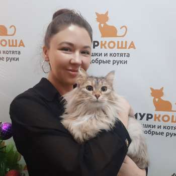 Симфония