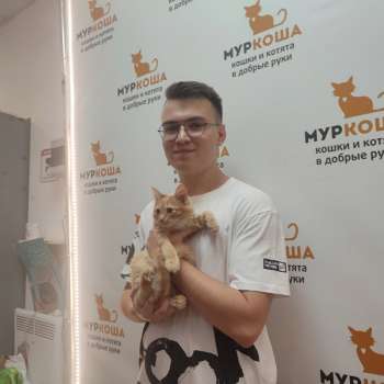 Солана