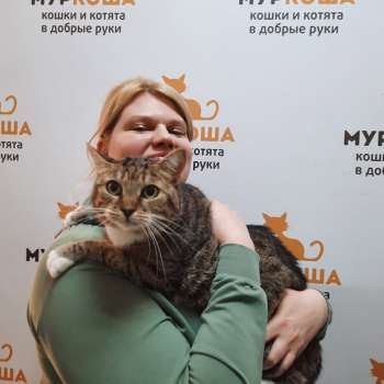 Сончита 