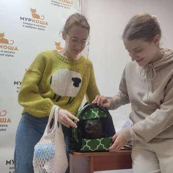Спиралька 