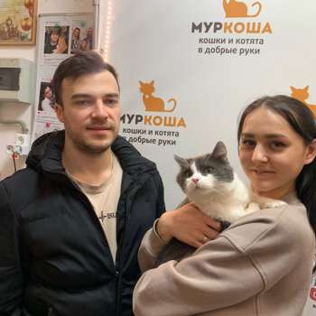 Сырник