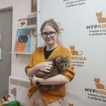 Табина 