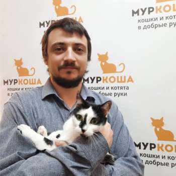 Трикки